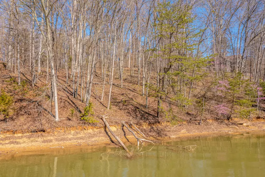 1523 Catoosa DR, Mooresburg, TN 37811