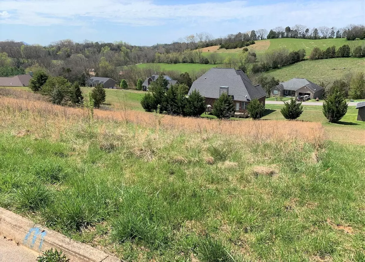 Sevierville, TN 37876,Infinity LN - Lot 40