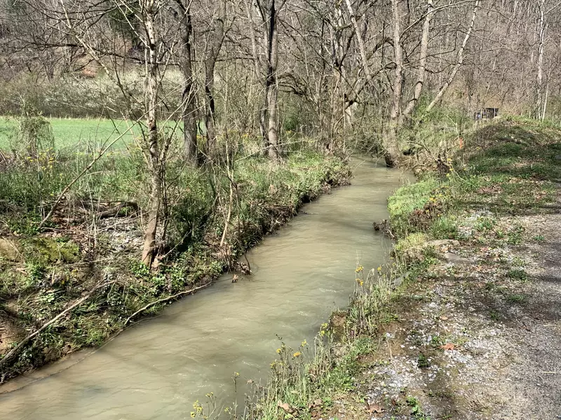 +-173.7 ac Middle Creek Rd, Cosby, TN 37722