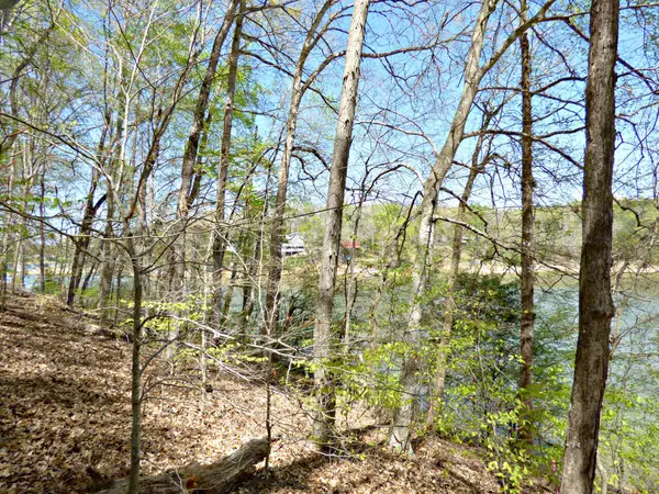 Dandridge, TN 37725,Lot 9 Clark LN