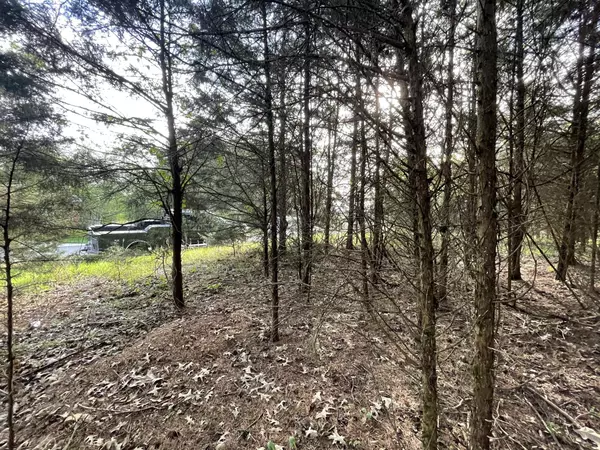 Vonore, TN 37885,Lot 15 Gohi Trail