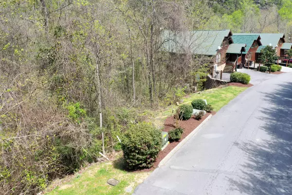 Sevierville, TN 37862,4r Black Bear Cub Way