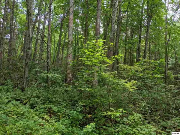 Sevierville, TN 37862,Lot 39 Leatherwood LN