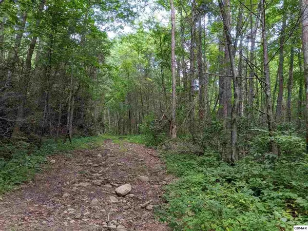 Sevierville, TN 37862,Lot 39 Leatherwood LN