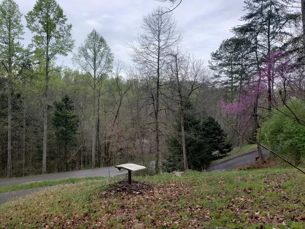 Speedwell, TN 37870,115 Arthur Hill CIR