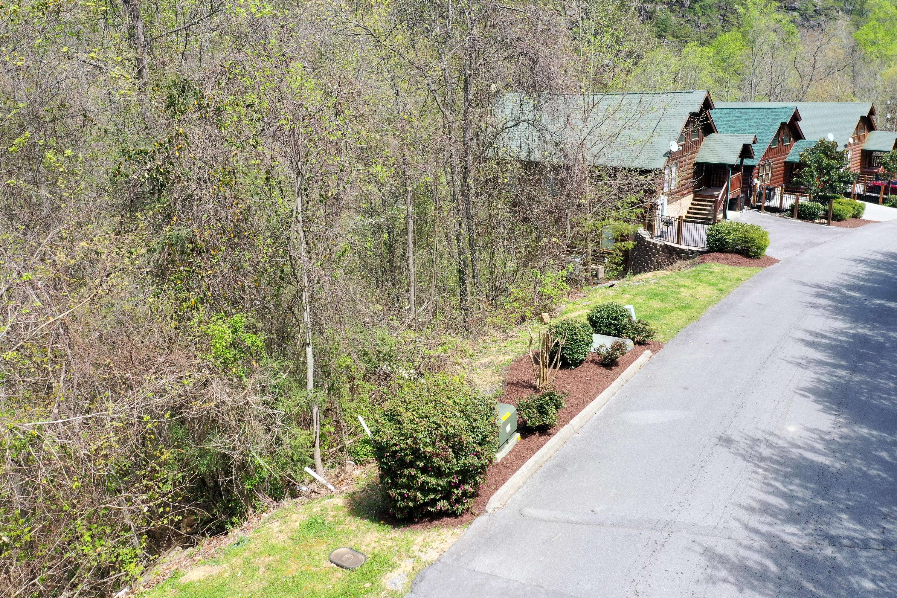 Sevierville, TN 37862,5R Black Bear Cub WAY