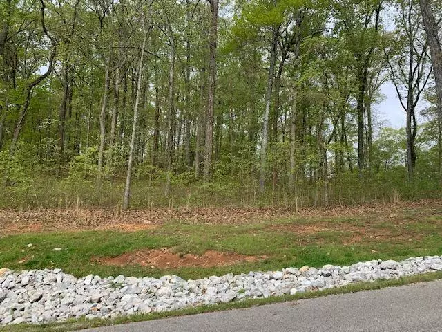 Rockwood, TN 37854,Grande Vista Dr, Lot 711