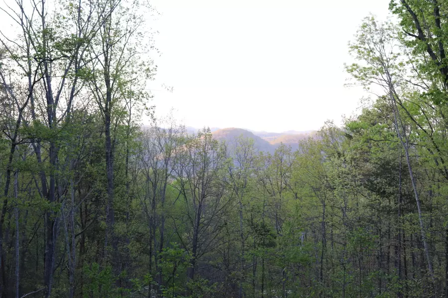 000 Bullet Mountain Drive, Tellico Plains, TN 37385