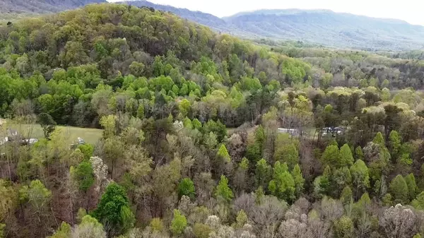 Lot #20 Roy Lee WAY, Seymour, TN 37865