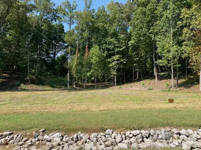 Rockwood, TN 37854,Shore lot 136 DR