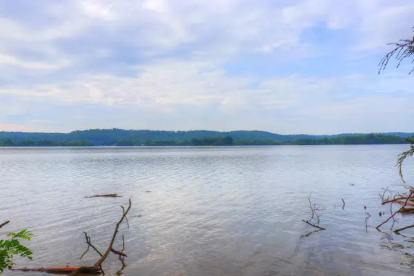 Rockwood, TN 37854,Lot 171 Shore DR