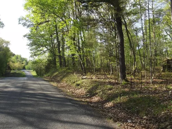 Spring City, TN 37381,Lot 186 Scenic Lakeview Drive