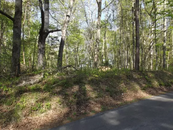 Spring City, TN 37381,Lot 186 Scenic Lakeview Drive