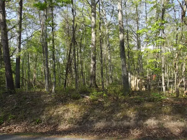 Spring City, TN 37381,Lot 186 Scenic Lakeview Drive