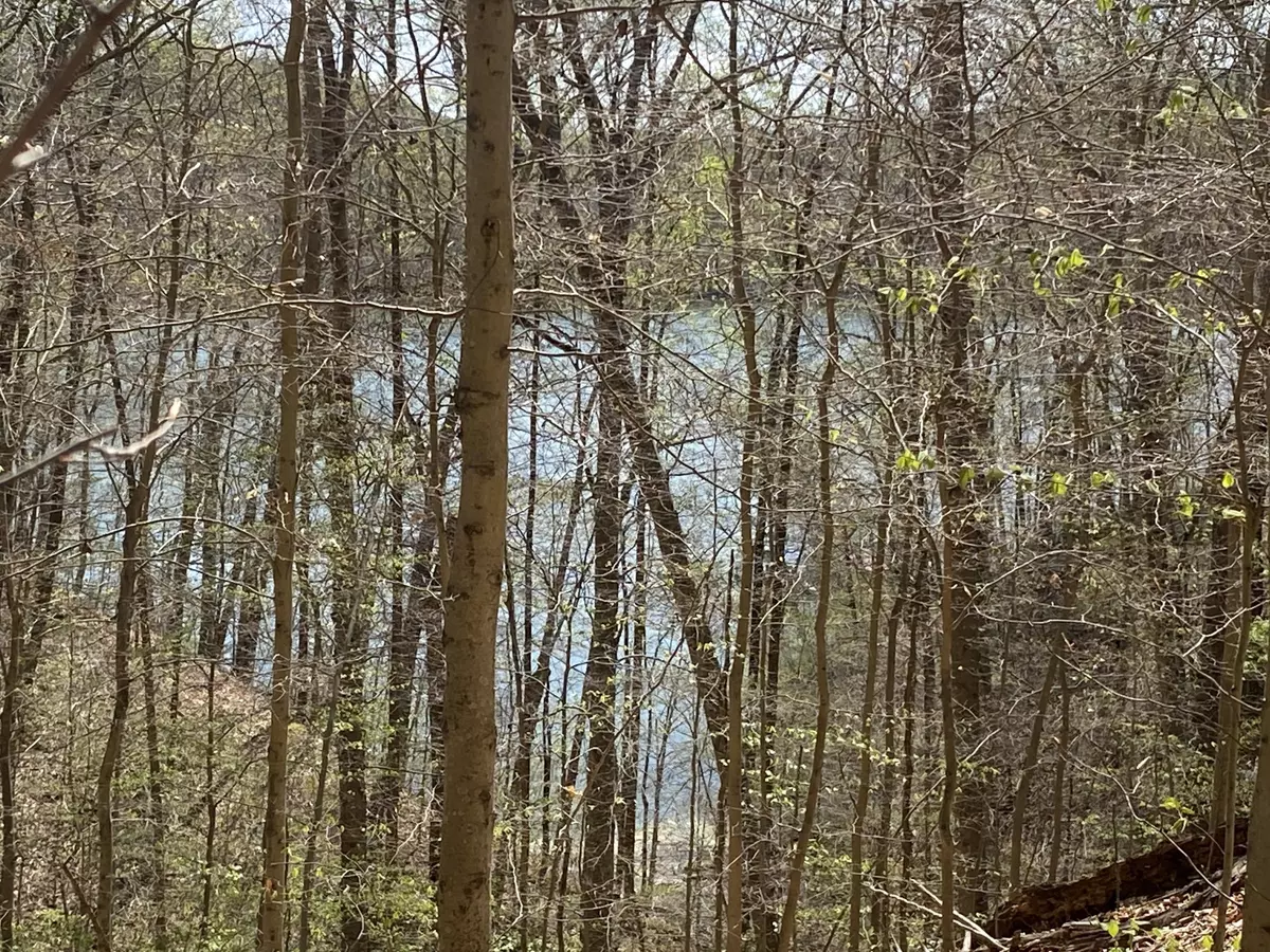 Sharps Chapel, TN 37866,Norris Shores DR