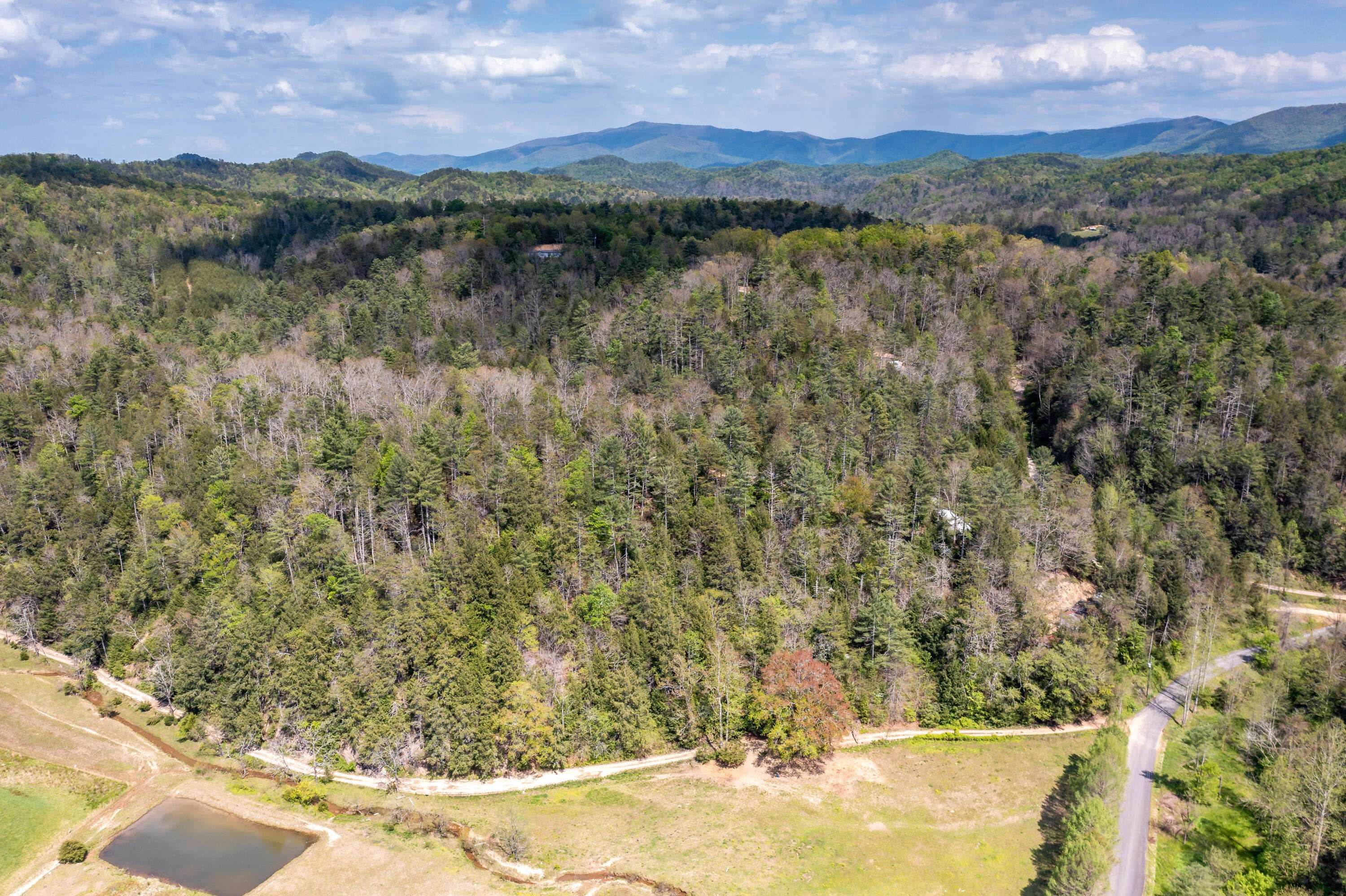 Cosby, TN 37722,Yellow Breeches Rd