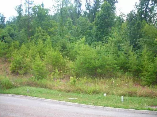 Lot 54 Chestnut Hill LN, Knoxville, TN 37924