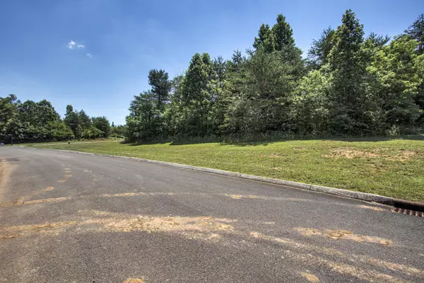 Vonore, TN 37885,Lot 94 Red Wing DR