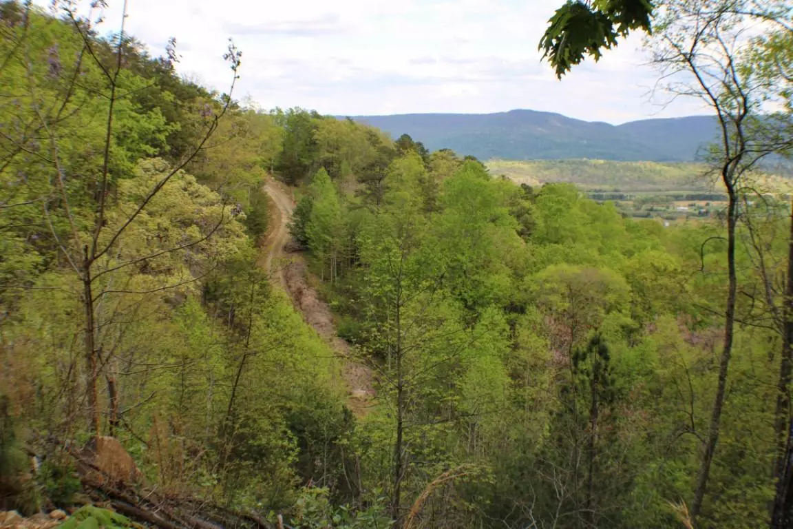 Dunlap, TN 37327,95 Acres Off Blue Sewanee Road