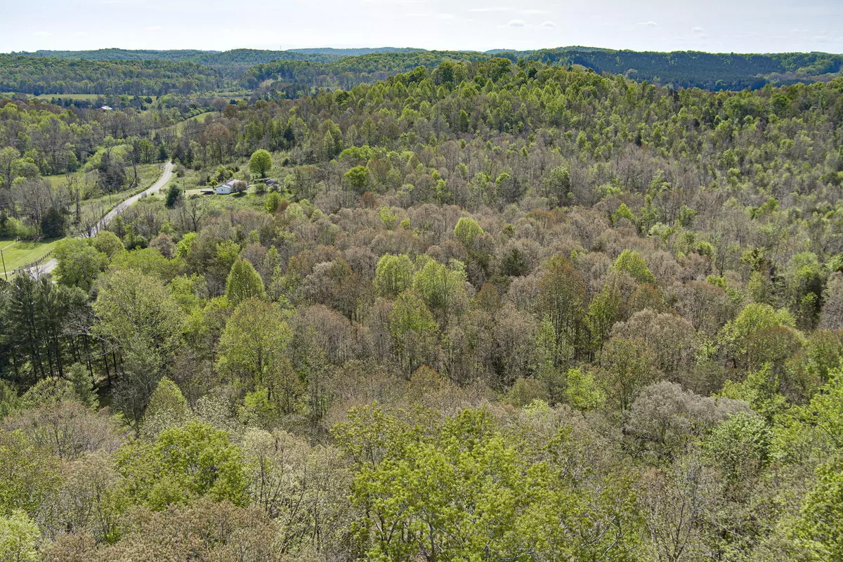 Ten Mile, TN 37880,000 County Road 289