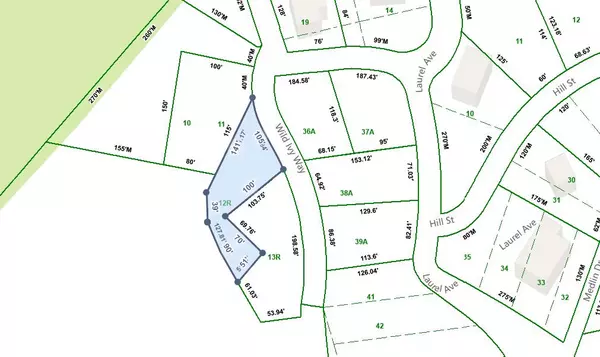 Gatlinburg, TN 37738,510 Wild Ivy WAY