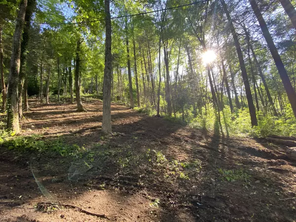 Gatlinburg, TN 37738,510 Wild Ivy WAY