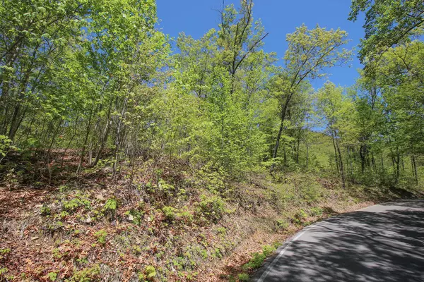 Sevierville, TN 37876,Lot 128 Bluff Mountain Rd.