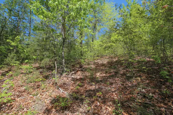 Sevierville, TN 37876,Lot 128 Bluff Mountain Rd.