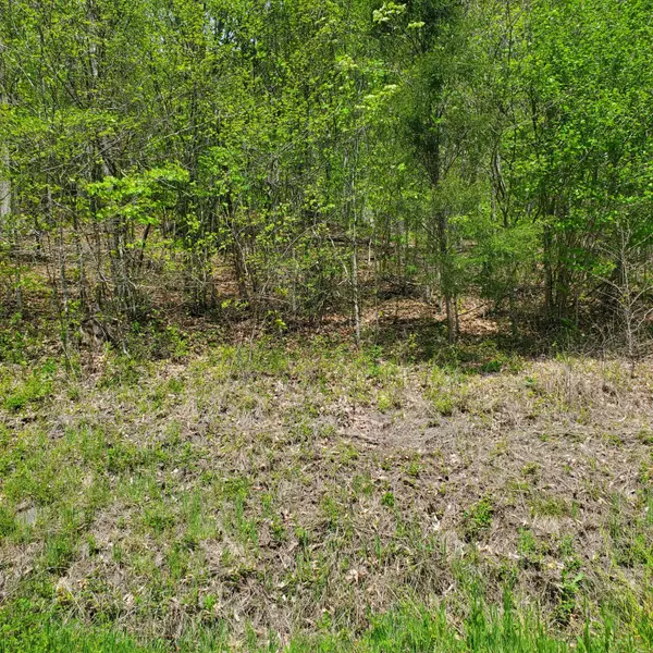 New Tazewell, TN 37825,Lot 96 Whistle Valley Rd