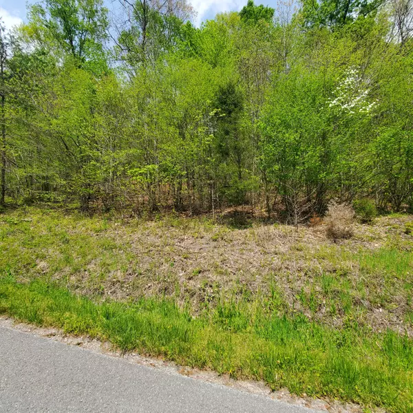 New Tazewell, TN 37825,Lot 96 Whistle Valley Rd