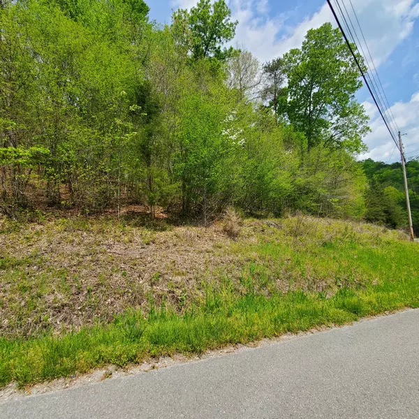 New Tazewell, TN 37825,Lot 96 Whistle Valley Rd