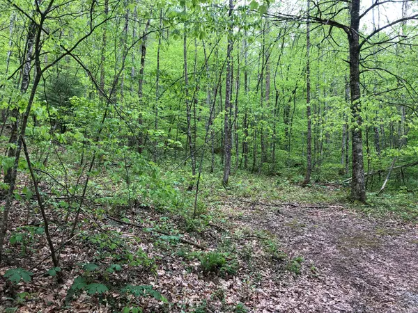 Crossville, TN 38571,Old Genesis Rd