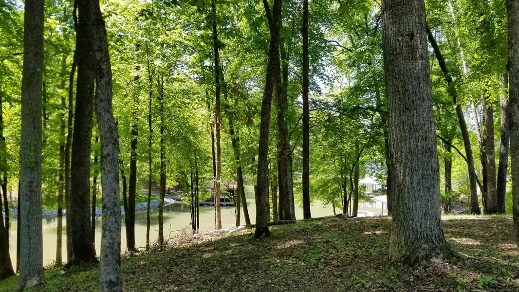 Waterfront WAY, Ten Mile, TN 37880