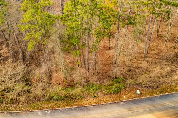 Rutledge, TN 37861,Lot 140 Tumbleweed Tr