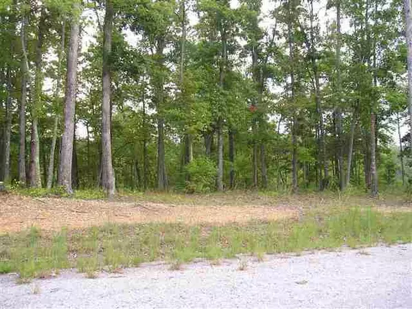 Sparta, TN 38583,Lot 5 Coves Point Rd