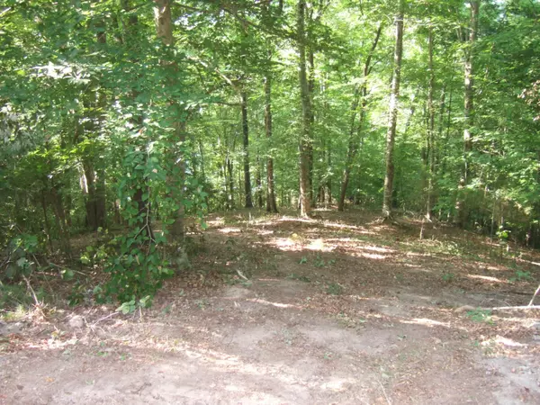 New Tazewell, TN 37825,Lot 50 Mountain Shores Rd