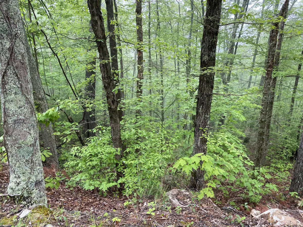 Sevierville, TN 37876,Lot 20 Linwood CT