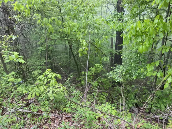 Sevierville, TN 37876,Lot 20 Linwood CT