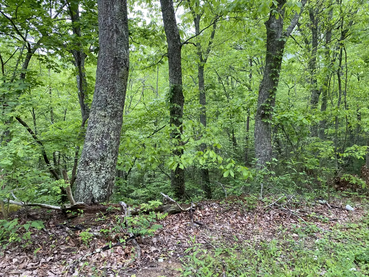 Sevierville, TN 37876,Lot 13 Black Oak DR