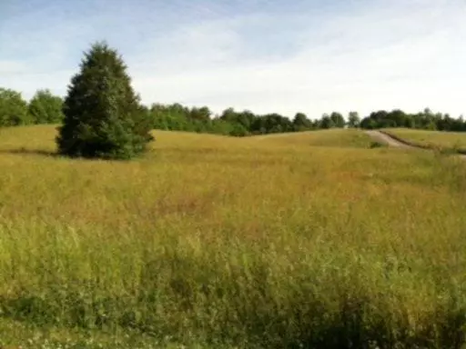 Sweetwater, TN 37874,Lot 19 Autumn Woods