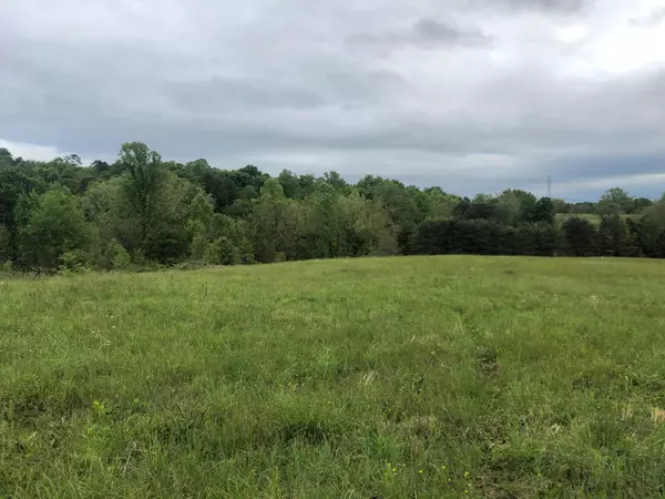 New Market, TN 37820,Lot 2 Bays Mountain Rd