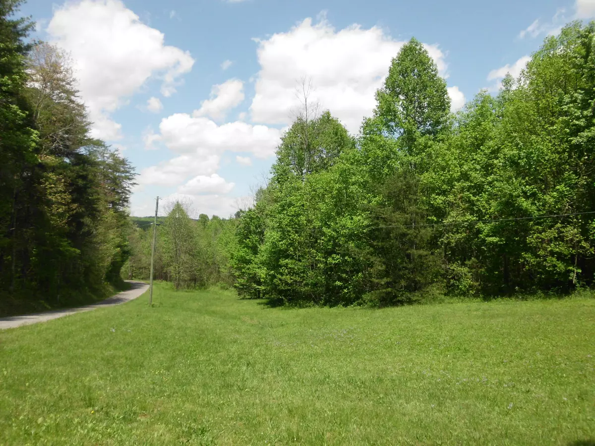 Tellico Plains, TN 37385,251 Dockery Rd