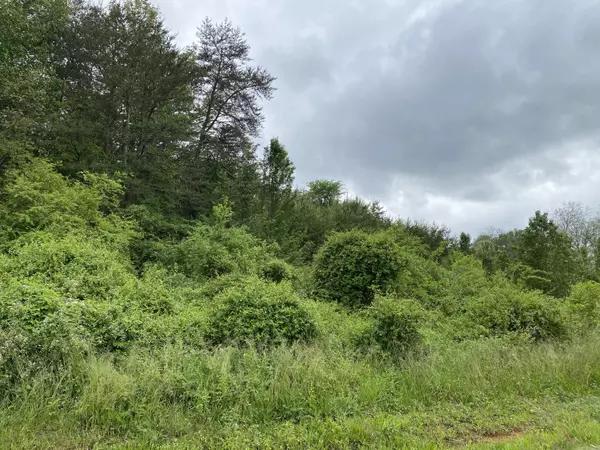 Maryville, TN 37804,Lot 38 Nina Delozier Rd