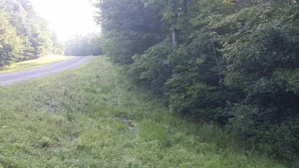 Monterey, TN 38574,Lot 32 Anne Rd