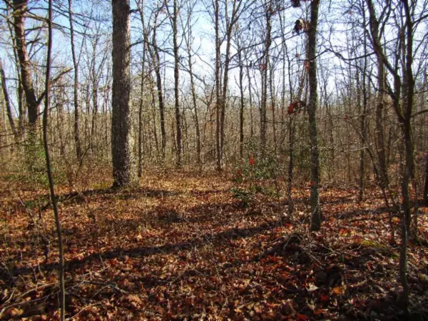 Monterey, TN 38574,Lot 32 Anne Rd