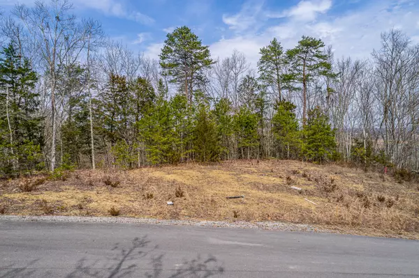 Lot 46 Emerald Pointe Blvd, Sevierville, TN 37876