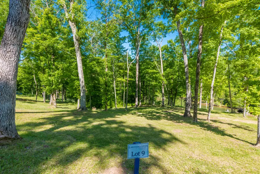 Lot 9 Waterfront WAY, Ten Mile, TN 37880