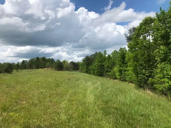 Jamestown, TN 38556,Lot 5 Nichol Creek DR