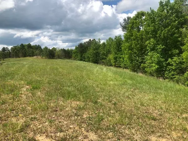 Jamestown, TN 38556,Lot 5 Nichol Creek DR