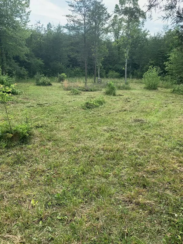 29.38 ac Cagle Road, Tellico Plains, TN 37385